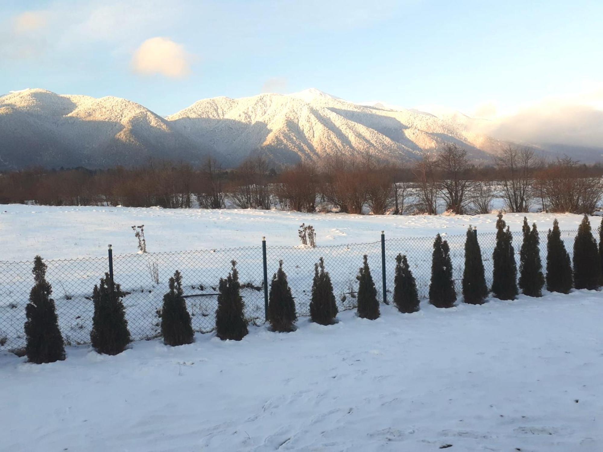 Villa Raphael near Pirin Golf Resort Bansko Esterno foto